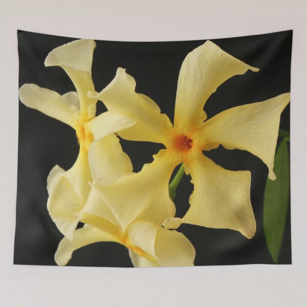 Item preview, Star Jasmine Flower designed and sold by Alan Harman.