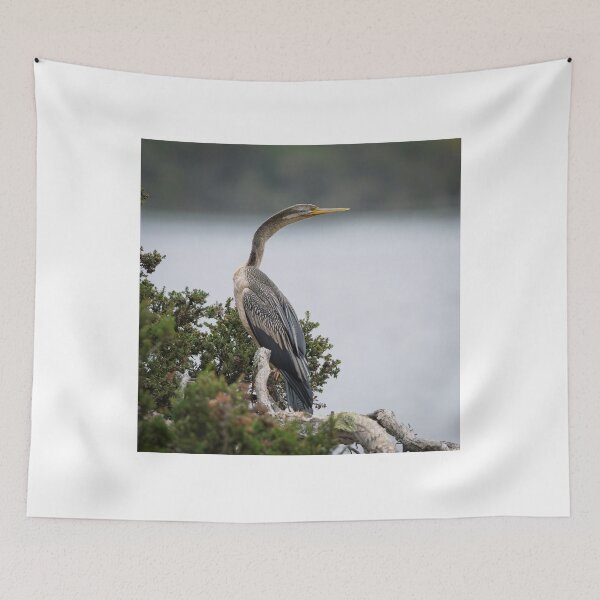 Item preview, Darter on the Branch designed and sold by Jan Fijolek.