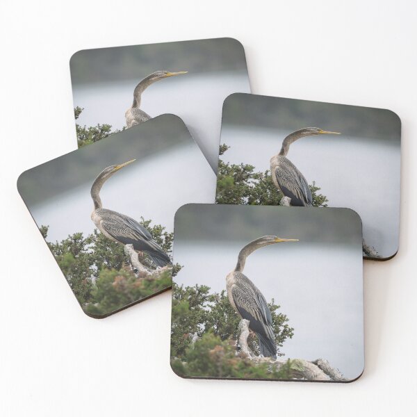 Item preview, Darter on the Branch designed and sold by Jan Fijolek.