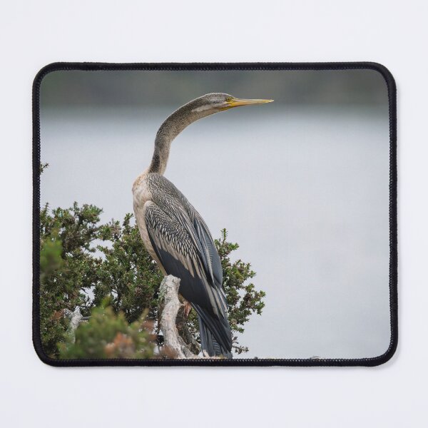 Item preview, Darter on the Branch designed and sold by Jan Fijolek.