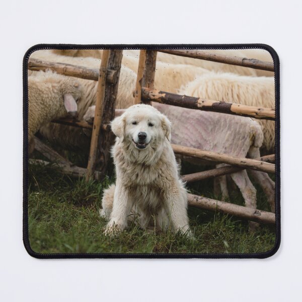 Item preview, Shepherd Dog Guarding the Flock designed and sold by alicjamiekina.