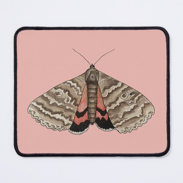 Item preview, Moth Butterfly - Catocala nupta designed and sold by Artadilia.