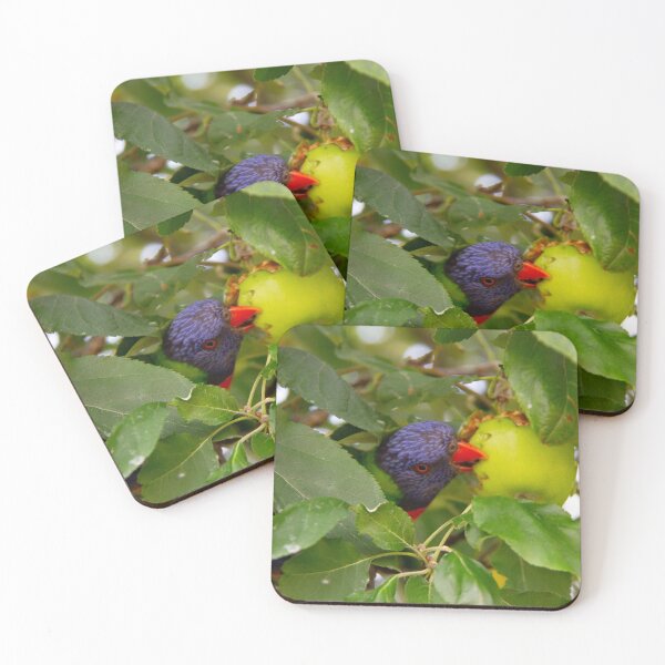 Item preview, Rainbow Lorikeet Collection: Chomping Down designed and sold by ParrysWorkshop.