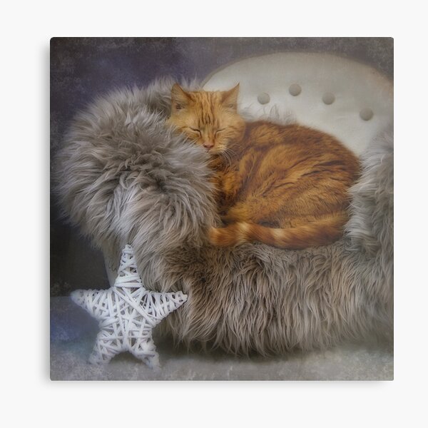 Sara and the star Metal Print