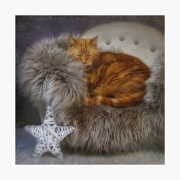 Sara and the star Photographic Print
