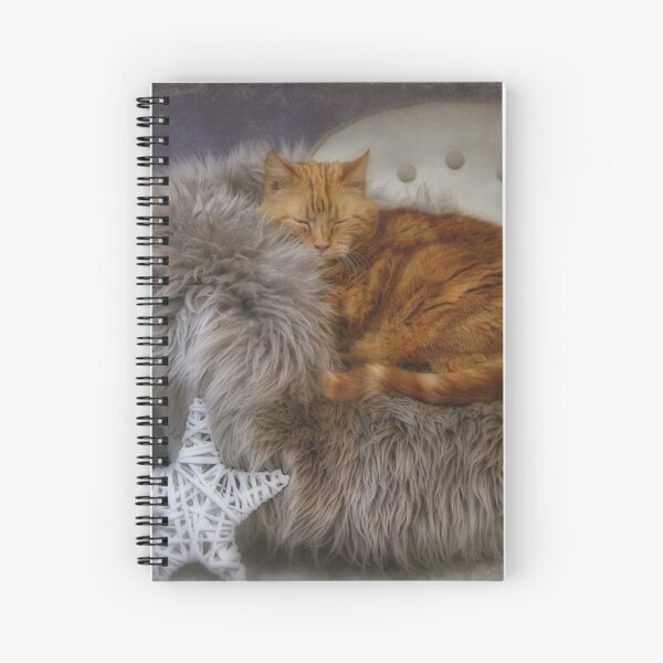 Sara and the star Spiral Notebook