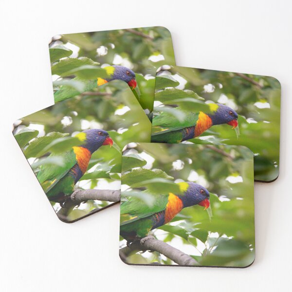Item preview, Rainbow Lorikeet Collection: On Look Out designed and sold by ParrysWorkshop.