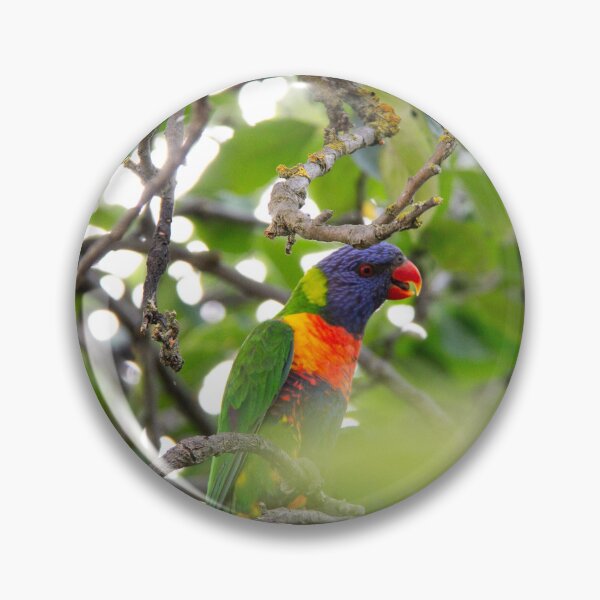 Item preview, Rainbow Lorikeet Collection: Serendipitous designed and sold by ParrysWorkshop.