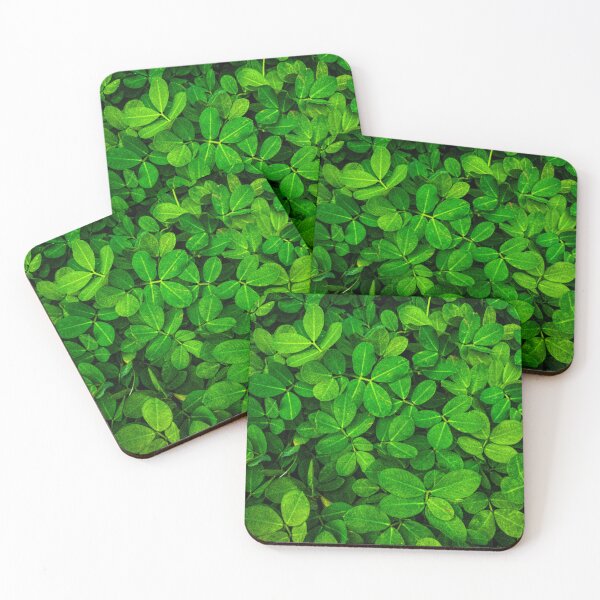 Item preview, Lush Green Arachis Pintoi Leaves - Tropical Groundcover Pattern designed and sold by onichi33.