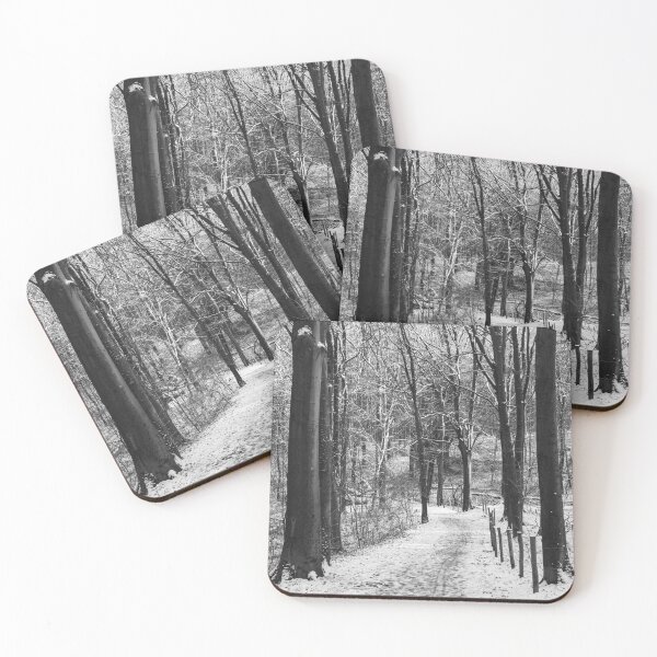 Item preview, Kluisbos, Snowy Forest Landscape, Belgium designed and sold by Imladris01.