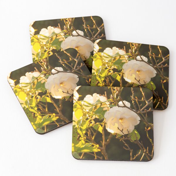 Item preview, The Last Light Collection: White Rose designed and sold by ParrysWorkshop.