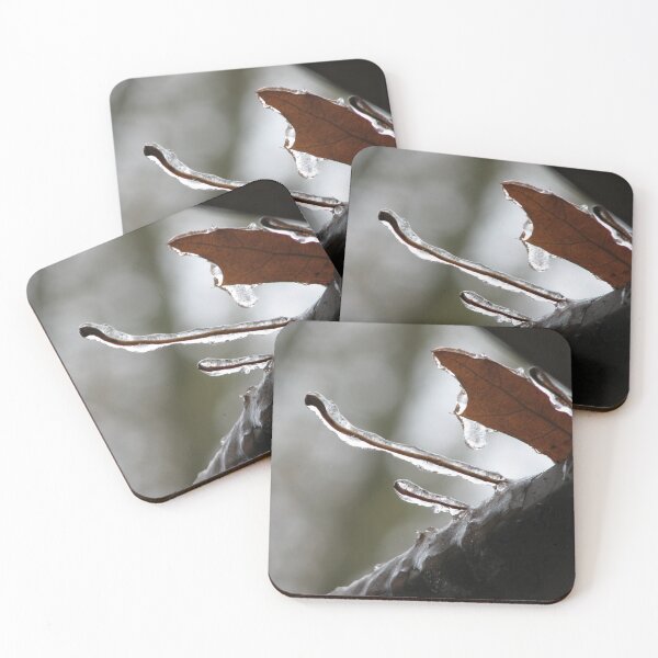 Item preview, Freezing Rain Coated Leaves and Roof With Ice designed and sold by Robin King.