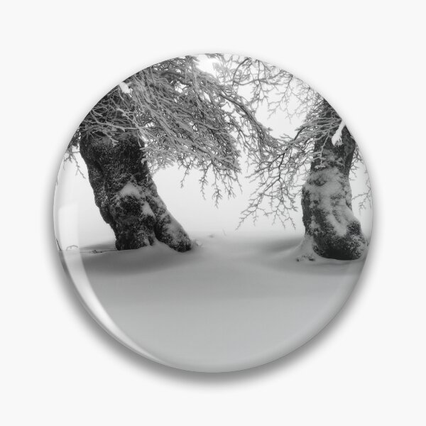 Item preview, Beautiful Wind BeechTrees, Schauinsland, Black Forest designed and sold by Imi Koetz.