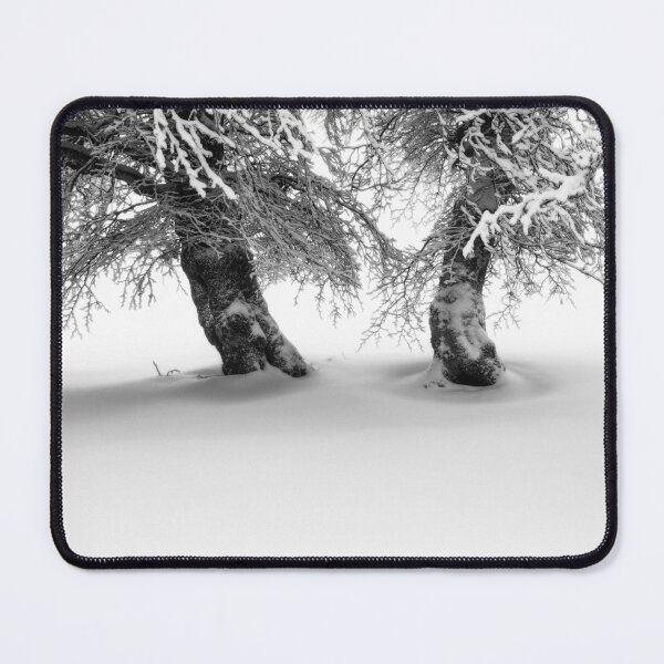 Item preview, Beautiful Wind BeechTrees, Schauinsland, Black Forest designed and sold by Imi Koetz.