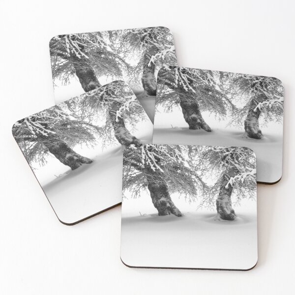 Item preview, Beautiful Wind BeechTrees, Schauinsland, Black Forest designed and sold by Imi Koetz.