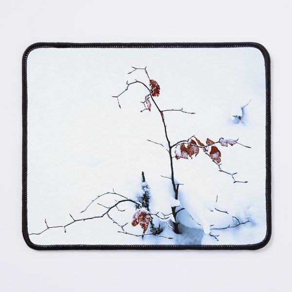Item preview, Little beech Tree in Snow designed and sold by Imi Koetz.