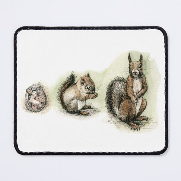 Item preview, Baby Squirrel Growing – Nordic Wildlife Watercolor and Ink Illustration designed and sold by Maria Välja ART.