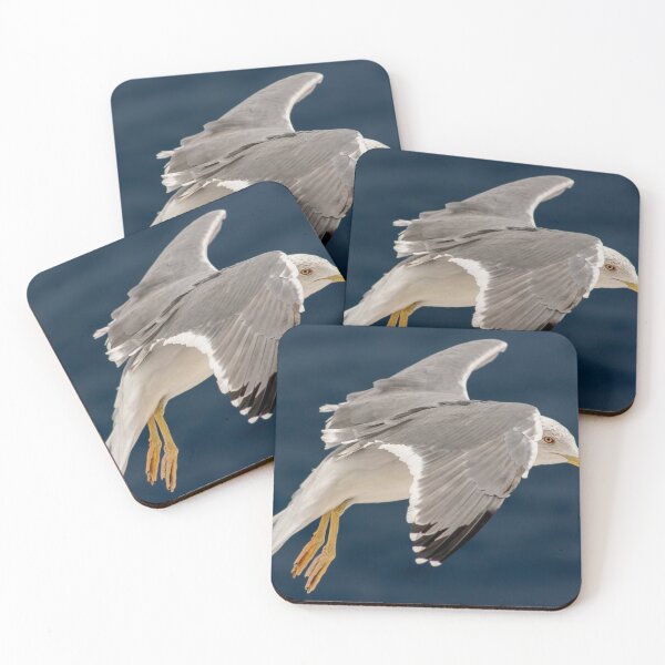 Item preview, Seagull In Flight designed and sold by RJW Images.