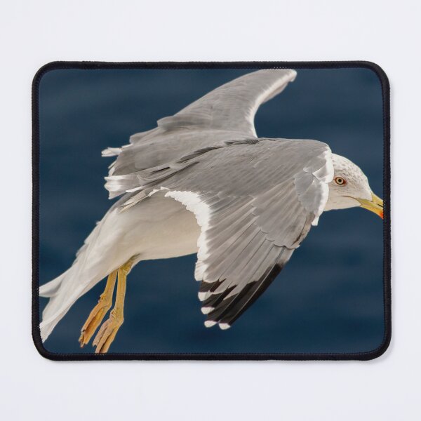 Item preview, Seagull In Flight designed and sold by RJW Images.
