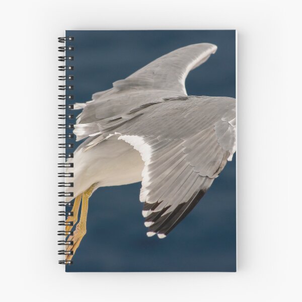 Item preview, Seagull In Flight designed and sold by RJW Images.