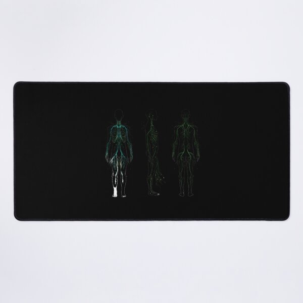 Item preview, Full Body Lymphatic Network Study designed and sold by PopStars1993.