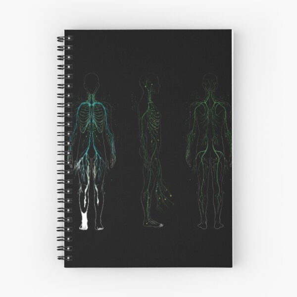 Item preview, Full Body Lymphatic Network Study designed and sold by PopStars1993.