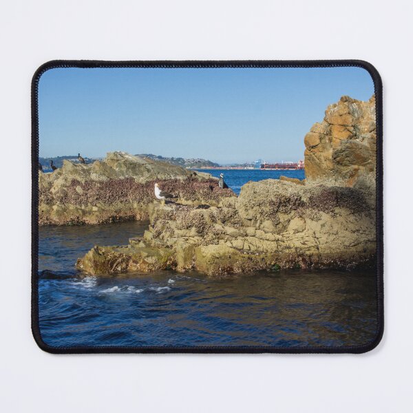 Item preview, history of rocks designed and sold by PolinkCreaFotos.