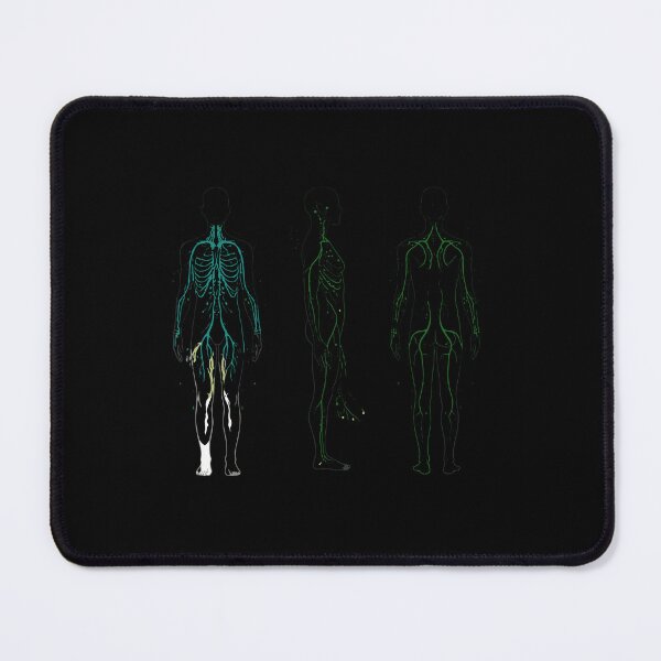 Item preview, Human Body Anatomy System Map designed and sold by PopStars1993.