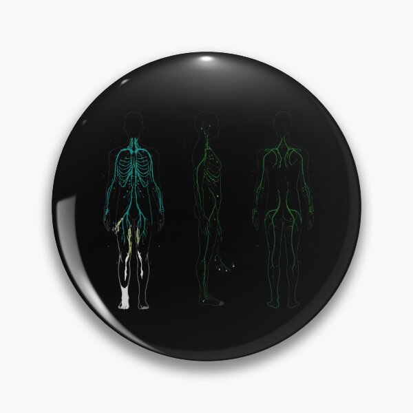 Item preview, Human Body Anatomy System Map designed and sold by PopStars1993.