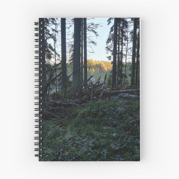 Item preview, Light there far away. Seitseminen 2025 designed and sold by Jouko Lehto Photography.