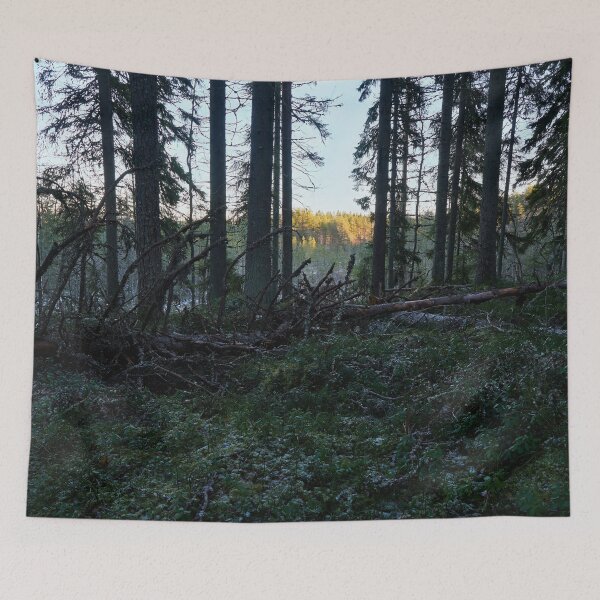 Item preview, Light there far away. Seitseminen 2025 designed and sold by Jouko Lehto Photography.