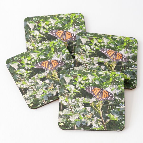 Item preview, Monarch Butterfly postcard designed and sold by Peruvian Bombshell.