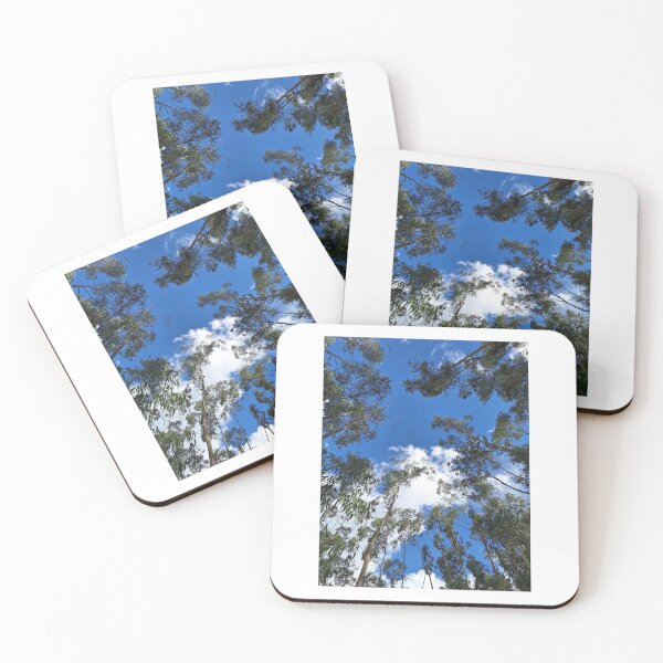 Item preview, Eucalyptus forest postcard designed and sold by Peruvian Bombshell.