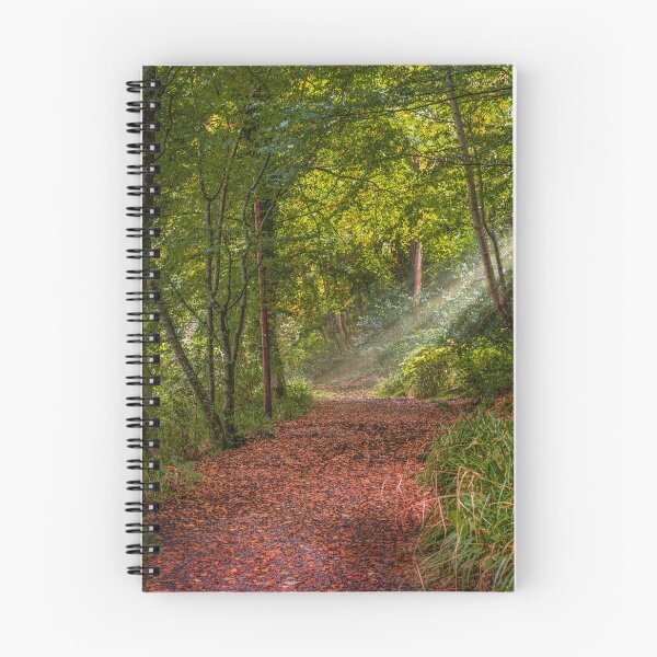Item preview, Inverkip Ardgowan Estate Sunrays Landscape designed and sold by RJW Images.