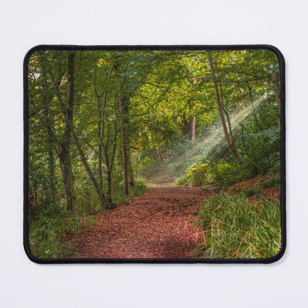Item preview, Inverkip Ardgowan Estate Sunrays Landscape designed and sold by RJW Images.