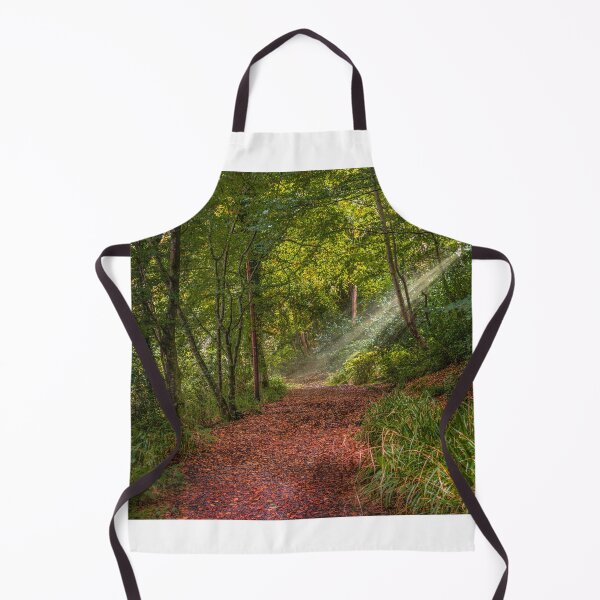 Item preview, Inverkip Ardgowan Estate Sunrays Landscape designed and sold by RJW Images.