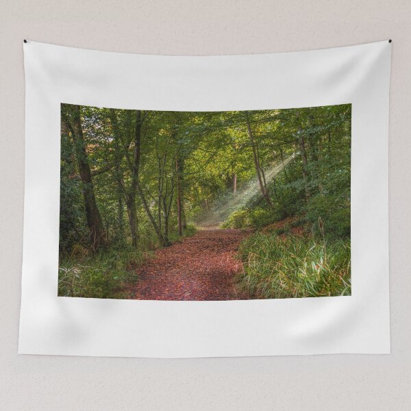 Item preview, Inverkip Ardgowan Estate Sunrays Landscape designed and sold by RJW Images.