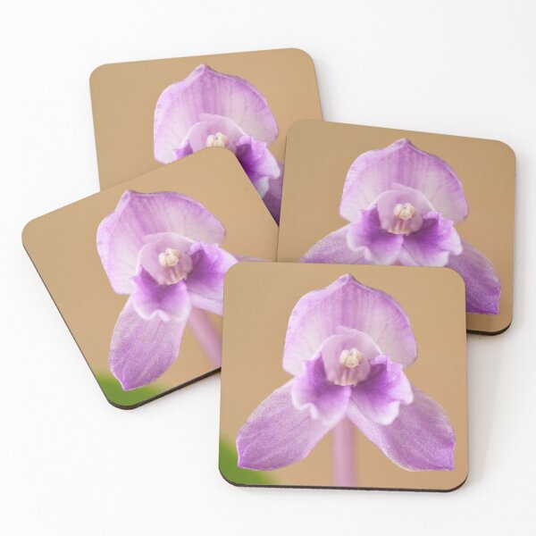 Item preview, Roscoea alpina  designed and sold by Chris Burrows.