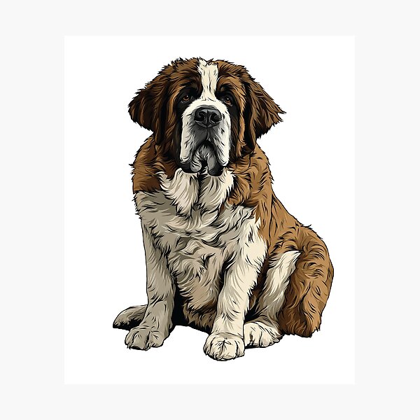 Item preview, Brown and White St Bernard Dog Illustration designed and sold by whyitsme.