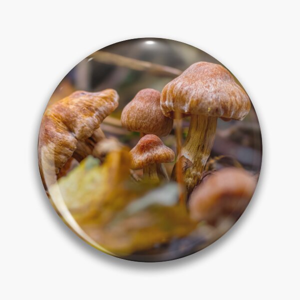 Item preview, Vibrant Mushrooms Bokeh designed and sold by RJW Images.