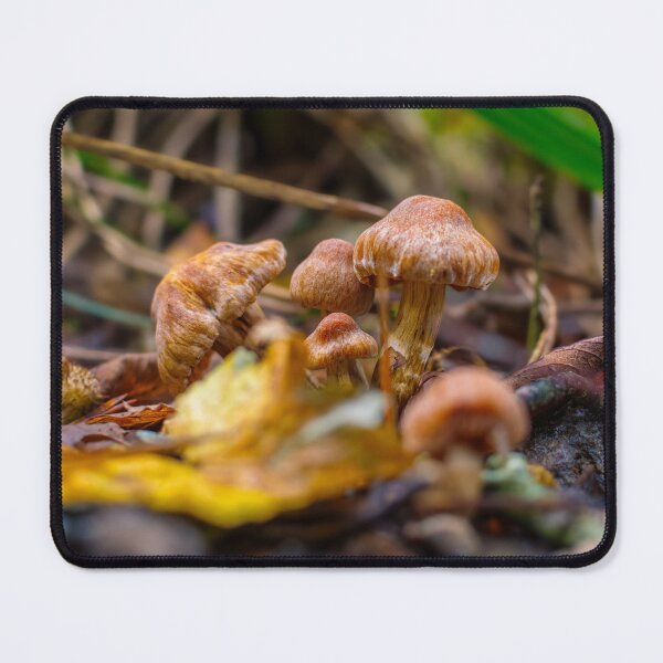 Item preview, Vibrant Mushrooms Bokeh designed and sold by RJW Images.