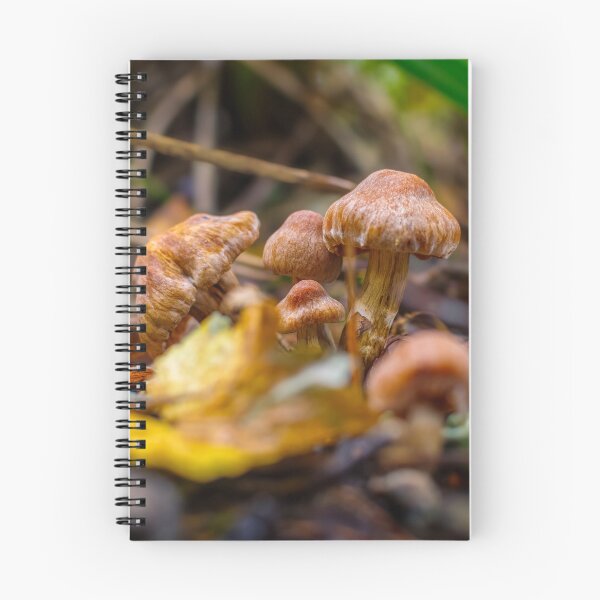Item preview, Vibrant Mushrooms Bokeh designed and sold by RJW Images.