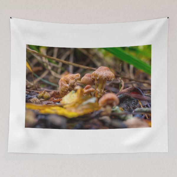 Item preview, Vibrant Mushrooms Bokeh designed and sold by RJW Images.