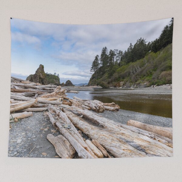 Item preview, Driftwood on Ruby Beach designed and sold by TinyDinoDesigns.