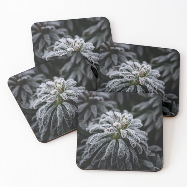 Item preview, Frost-Kissed designed and sold by LaumisPhotos.