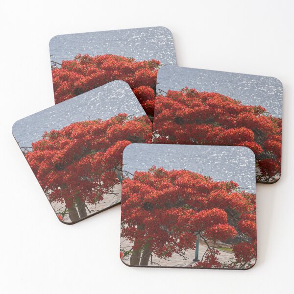 Item preview, Royal Poinciana in bloom by sea designed and sold by Imagerisium.