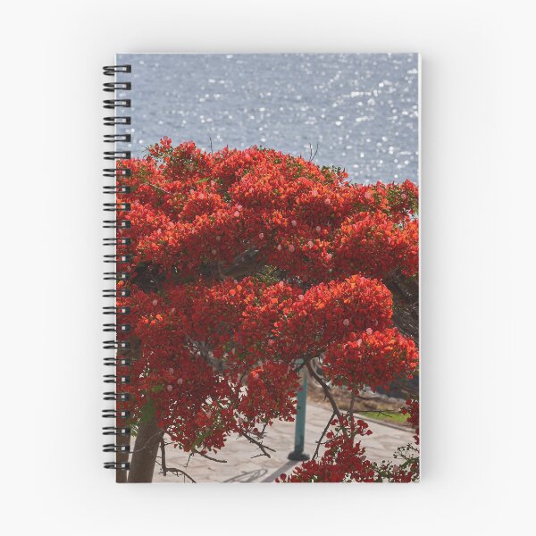 Item preview, Royal Poinciana in bloom by sea designed and sold by Imagerisium.