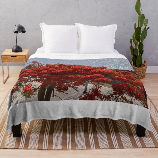 Item preview, Royal Poinciana in bloom by sea designed and sold by Imagerisium.