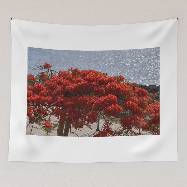 Item preview, Royal Poinciana in bloom by sea designed and sold by Imagerisium.