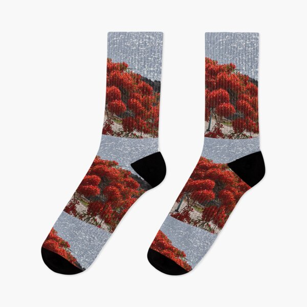 Item preview, Royal Poinciana in bloom by sea designed and sold by Imagerisium.